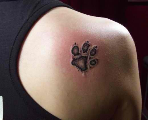 Paw Print of a Dog