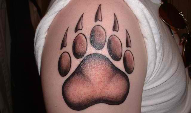 Paw Print of a Lion