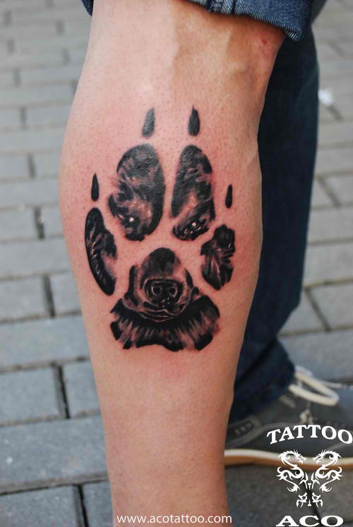 Paw Print of a Wolf